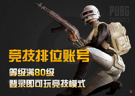 竞技排位号