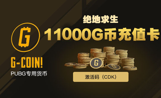 PUBG 11000G-coin