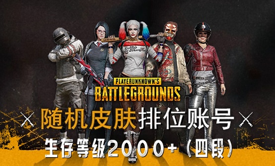 2000级（4段）随机皮肤排位账号