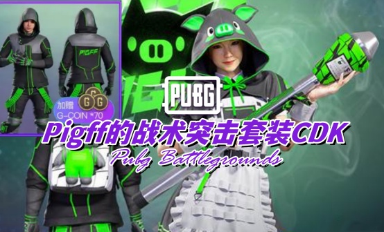 PUBG Pigff的战术突击套装CDK PUBG Pigff的战术突击套装CDK